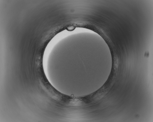 X0000112910451200910051047