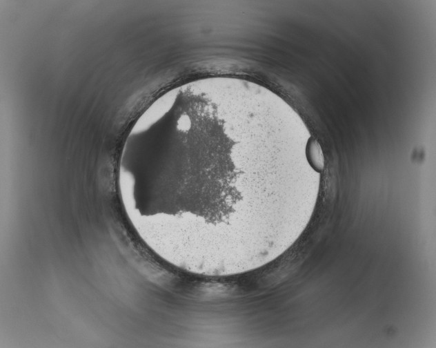 X0000112910453200910051047