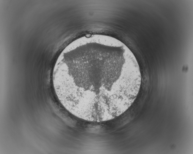 X0000112910454200910051047