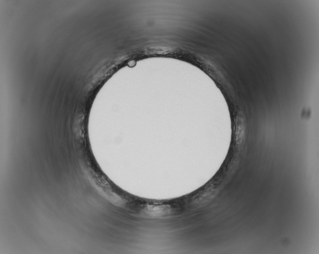 X0000112910455200910051047