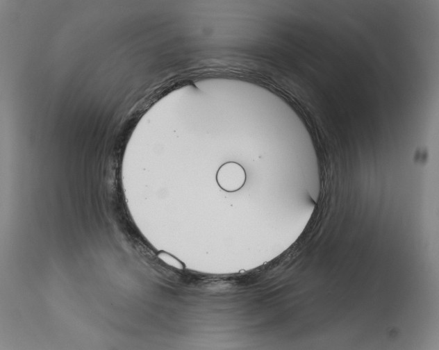 X0000112910456200910051047
