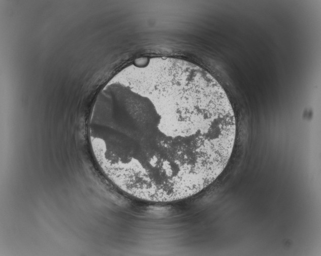 X0000112910457200910051047