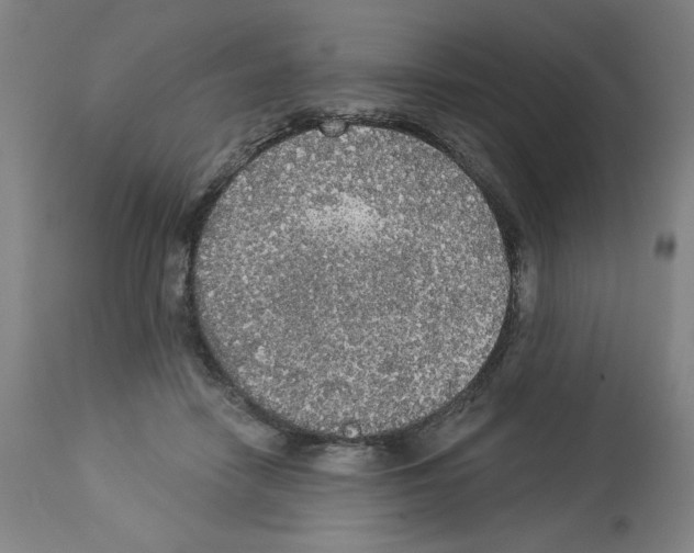 X0000112910458200910051047