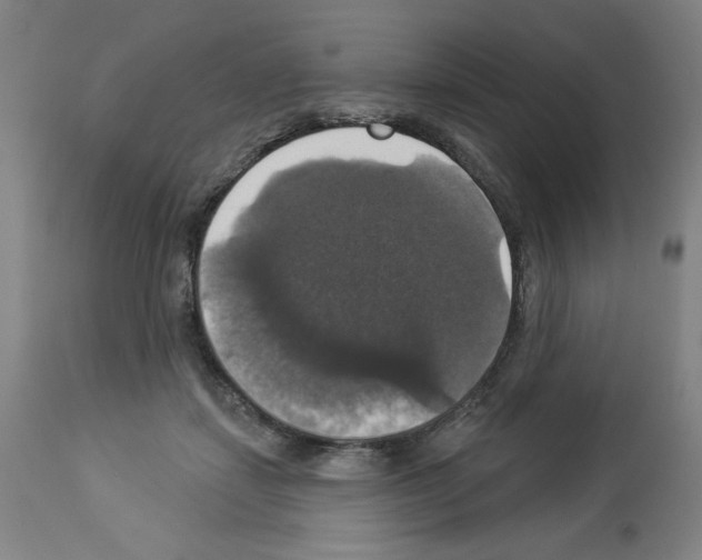 X0000112910459200910051047