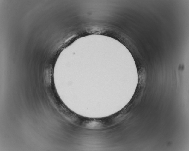 X0000112910460200910051047