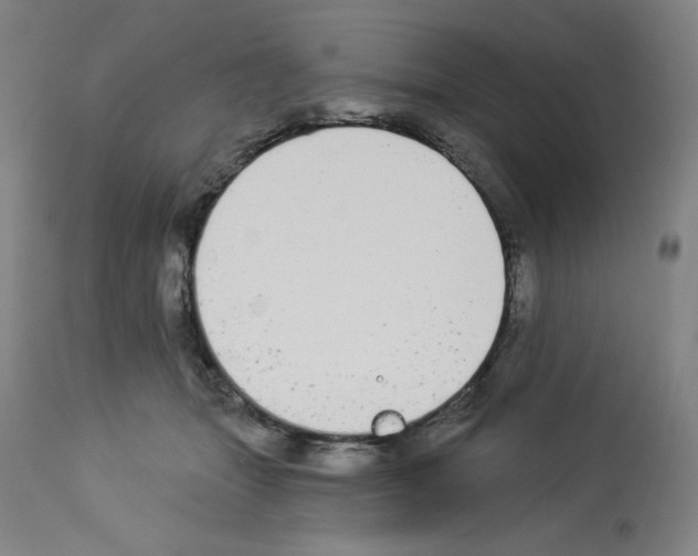 X0000112910463200910051047