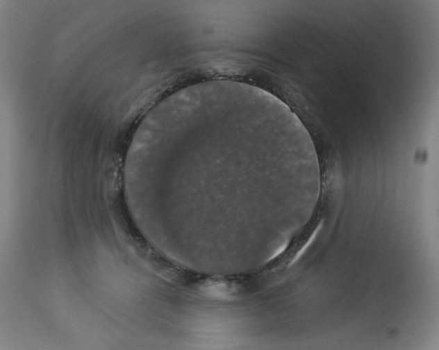 X0000112910464200910051047
