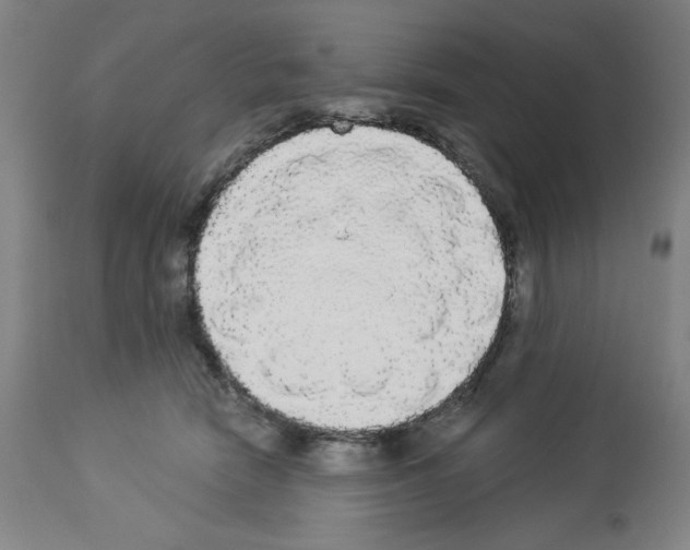 X0000112910466200910051047