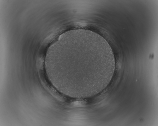 X0000112910468200910051047