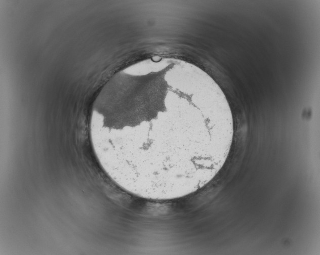 X0000112910469200910051047