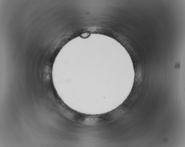 X0000112910470200910051047