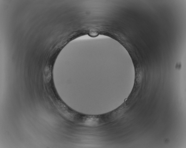 X0000112910471200910051047