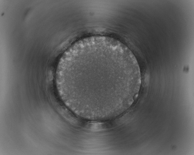 X0000112910472200910051047