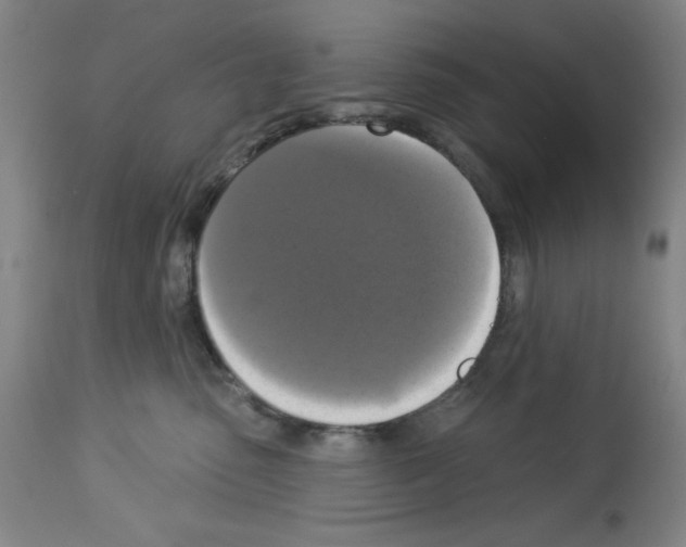 X0000112910475200910051047