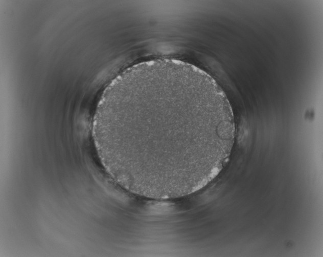X0000112910476200910051047