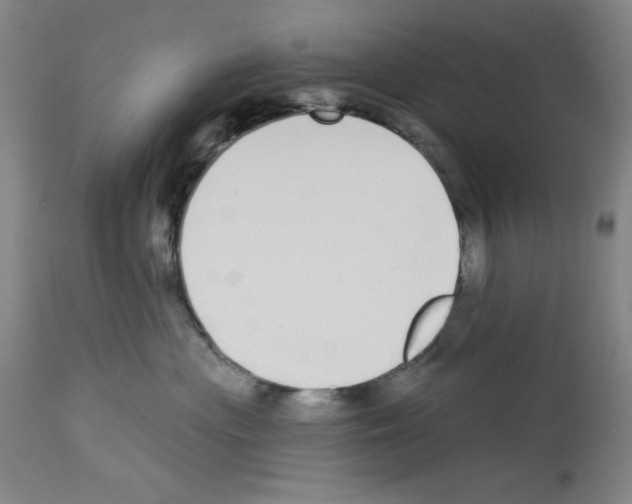 X0000112910477200910051047