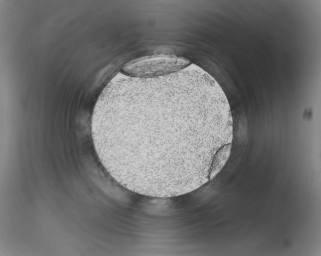 X0000112910478200910051048