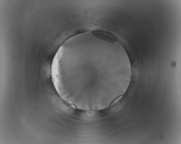X0000112910479200910051048
