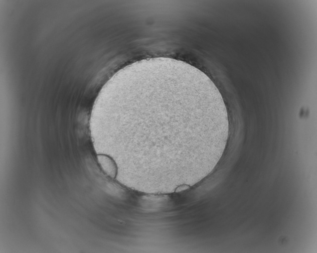 X0000112910480200910051048