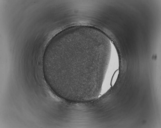 X0000112910481200910051047