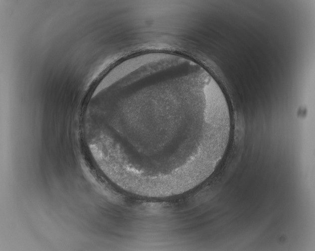 X0000112910482200910051047