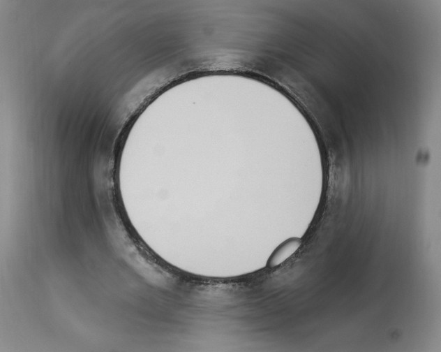 X0000112910485200910051046