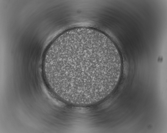 X0000112910486200910051046