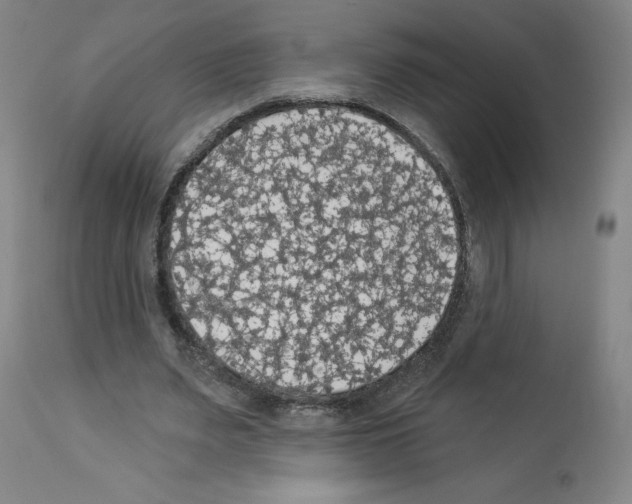 X0000112910487200910051046
