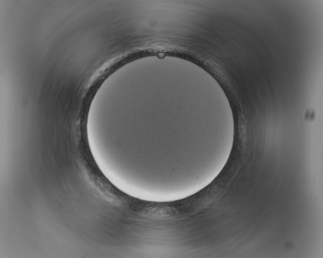 X0000112910488200910051046