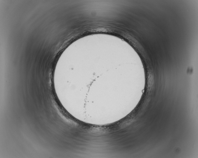 X0000112910489200910051046