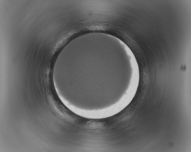 X0000112910491200910051046