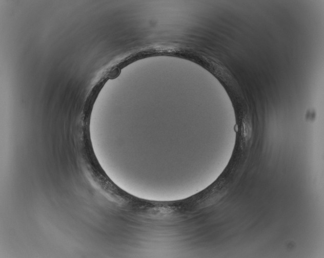 X0000112910492200910051046