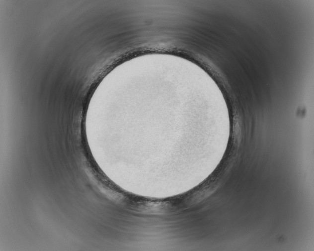 X0000112910493200910051046