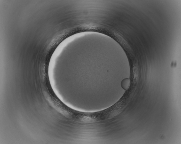 X0000112910494200910051046