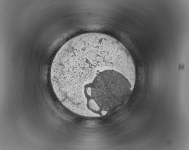 X0000112910495200910051046
