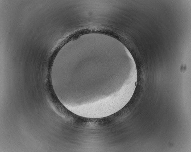 X0000112910496200910051046