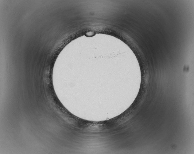 X0000112910497200910051046