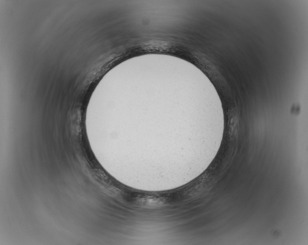 X0000112910498200910051046