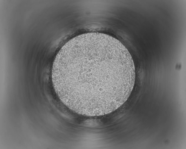 X0000112910499200910051046