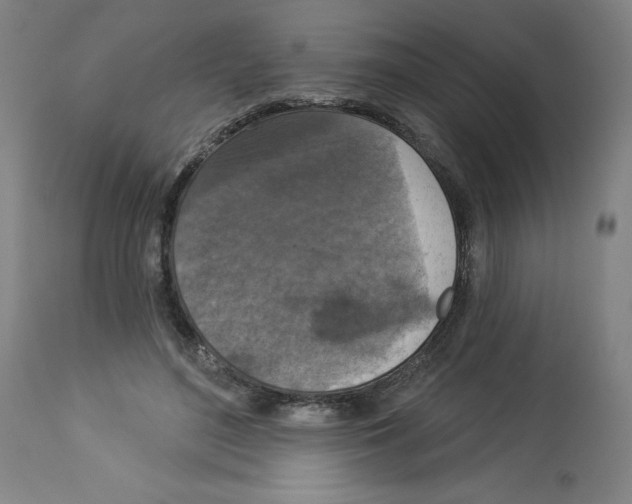 X0000112910500200910051046