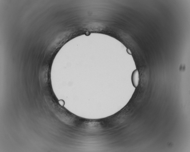 X0000112910501200910051046