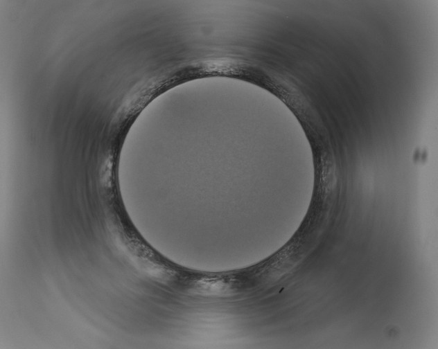 X0000112910502200910051046