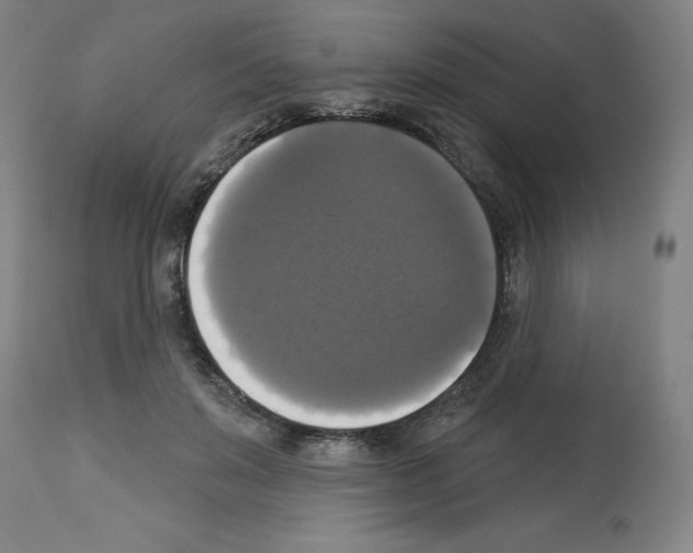 X0000112910503200910051046