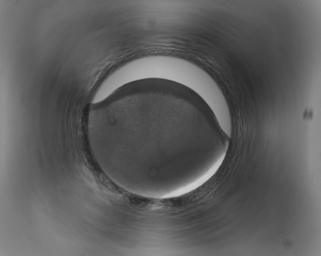X0000112910504200910051046