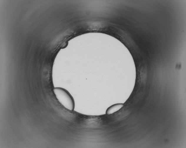 X0000112910505200910051046