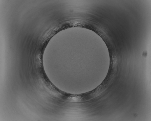 X0000112910506200910051046