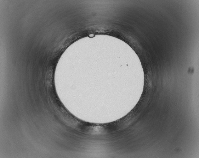X0000112910509200910051046
