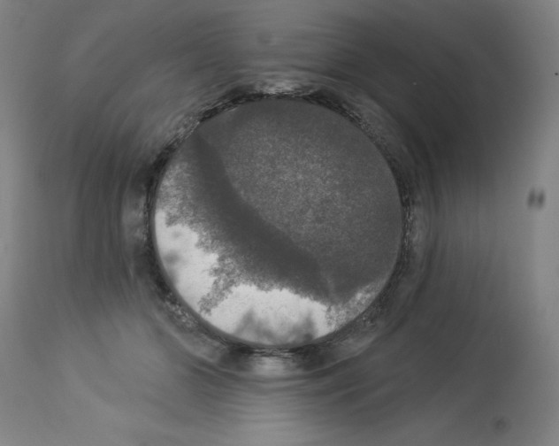 X0000112910510200910051046
