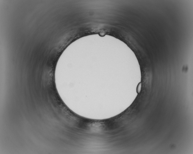 X0000112910513200910051046