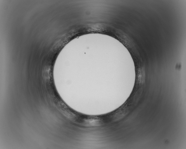 X0000112910514200910051046